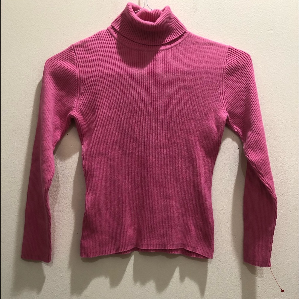 Style&Co Pink Long Sleeve Sweater P